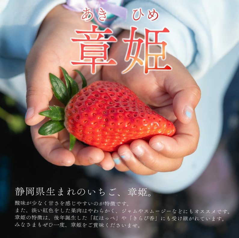 冷凍いちご 章姫 国産 冷凍 いちご 2kg フルーツ スイーツ デザート くだもの 果物 ストロベリー 甘い おいしい 大粒 濃厚 冷凍いちご かき氷 静岡県 牧之原市 藤田農園