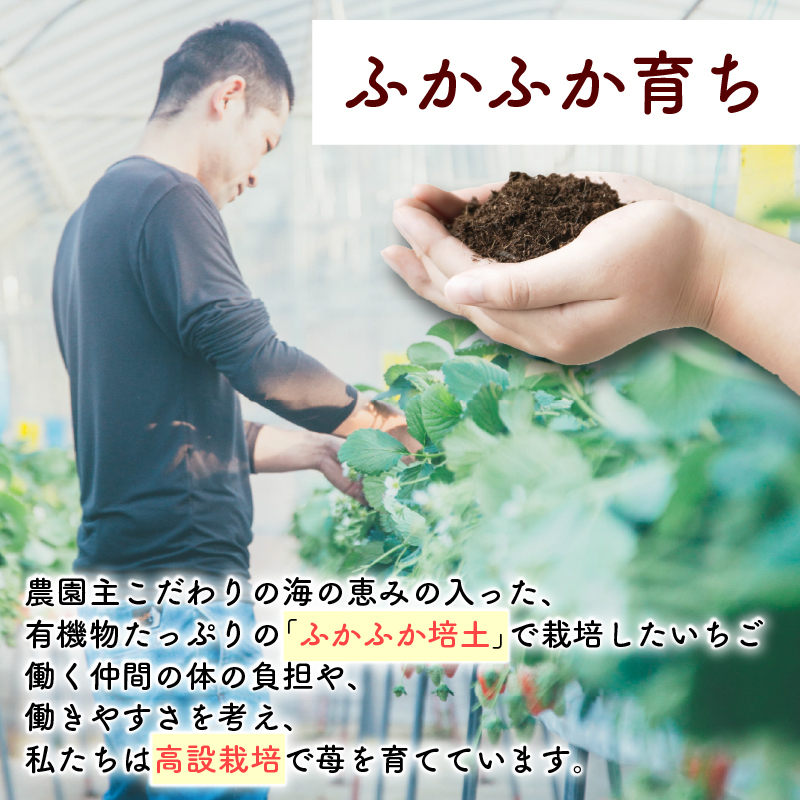 フリーズドライ イチゴ 40g いちご ストロベリー 苺 フルーツ 果物 乾燥果実 くだもの ドライフルーツ お菓子 トッピング ヨーグルト デザート おやつ 農園直送 食品 健康 美容 アレンジ 甘い おいしい 牧之原市 静岡県