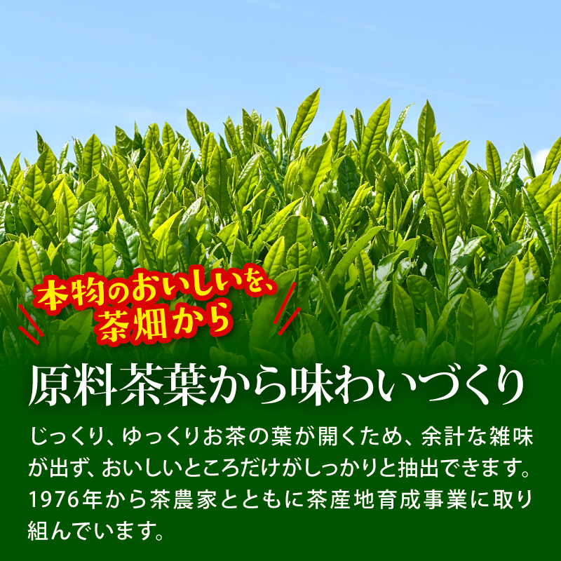 ＜選べる内容量＞ おーいお茶 緑茶 2L × 6本 防災備蓄 茶 ペットボトル 飲料 伊藤園 防災 備蓄 茶 緑茶 ペットボトル PET 飲料 飲み物 ソフトドリンク 定番 人気 おすすめ 送料無料 行事 ストック レジャー 水分補給 差し入れ おすそわけ 行事 キャンプ 長期保存 保管 ドリンク 熱中症対策 ケース お手軽 日常使い 日常 災害備蓄 水分 補給 防災 いとうえん 静岡県 牧之原市 6本