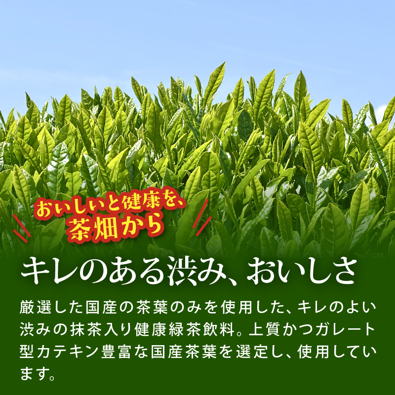 ＜選べる内容量＞ おーいお茶 濃い茶 600mL × 24本 防災備蓄 茶 ペットボトル 飲料 緑茶 機能性表示食品 お茶 茶 おちゃ ペットボトル飲料 ドリンク 飲み物 飲みもの 日用品 生活必需品 消耗品 飲料類 おいしい 美味しい おすすめ オススメ 健康 水分補給 備蓄 災害 保存 家庭用 保管 備蓄品 防災 防災用品 熱中症 対策 常備 非常用 夏バテ予防 セット 濃茶 常備品 伊藤園 静岡県 牧之原市 24本