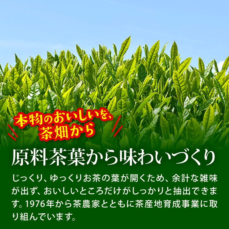 ＜選べる内容量＞ おーいお茶 緑茶 計 48本 345mL × 24本 2ケース 防災備蓄 茶 ペットボトル 飲料 ペットボトル飲料 おちゃ 緑茶飲料 飲み物 茶 りょくちゃ ちゃ tea アウトドア 日常 常備 備蓄 防災 防災備蓄 防災用品 災害 生活必需品 消耗品 非常用 災害対策 保存 ストック 日用品 水分補給 箱 箱買い まとめ買い おすすめ 静岡茶 美味しい お?いお茶 静岡 伊藤園 静岡県 牧之原市 48本