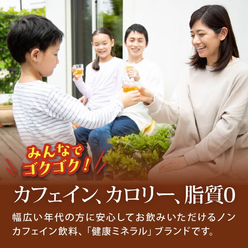 ＜選べる内容量＞ 健康ミネラル むぎ茶 計24本 1L × 12本 2ケース カフェインゼロ 防災 備蓄 茶 ペットボトル PET 飲料 飲み物 ソフトドリンク カロリーゼロ 定番 体脂肪 人気 おすすめ 送料無料 行事 レジャー 水分補給 差し入れ おすそわけ 行事 乳幼児 規格 適用商品 ミネラル 長期保存 保管 ドリンク カフェインレス ノンカフェイン 熱中症対策 ケース 静岡県 牧之原市 24本
