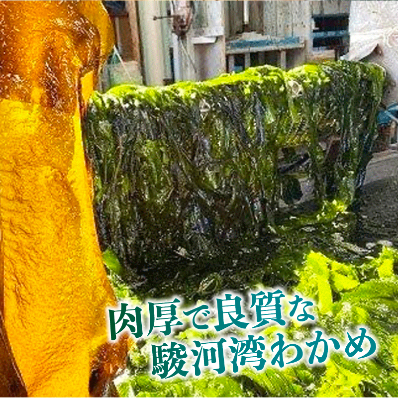 わかめ 駿河湾 束 わかめ 1kg 200g × 5袋 海藻 海産物 海鮮 魚介 ワカメ 若布 若芽 味噌汁 みそ汁 スープ 鍋 サラダ 刺身 酢のもの 家庭用 ご家庭用 日用品 ギフト プレゼント 贈答 贈答用 産地直送 静岡 選べる 選べる容量 国産 贈り物 小分け 肉厚 塩蔵 塩蔵わかめ 湯通し ご飯 ごはん おかず おさしみ さしみ 刺し身 魚貝類 魚貝類 八木康 静岡県 静岡 牧之原市