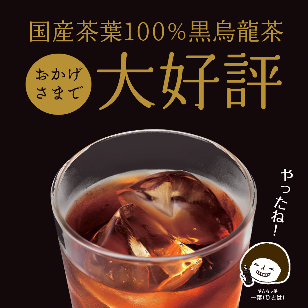 ＜選べる内容量＞【定期便6か月】黒烏龍茶  2L×9本 国産人気 食事のお供に 健康 ペットボトル飲料 いなば園 ウーロン茶 【6ヶ月定期便】9本×6回