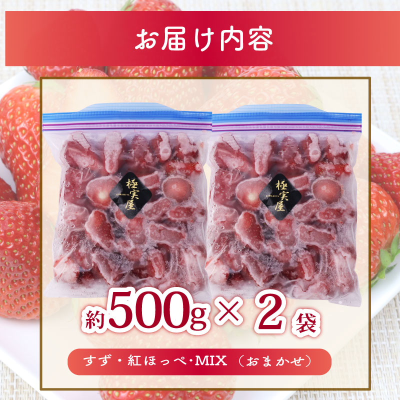 ＜選べる内容量＞ 高級 冷凍 いちご ベリーポップすず & 紅ほっぺ MIX 1000g 1kg 小分け ギフト 朝採り スイーツ フルーツ フローズン 氷 果物 上品 大粒 完熟 イチゴ 苺 ストロベリー ベリー 新鮮 国産 2袋 デザート おいしい 贈り物 果物 ストロベリー 甘い 朝摘み おやつ 完熟 直送 ギフト 贈答用 産地直送 国産 おすすめ 静岡 県 牧之原 市 極実屋 KIWAMIYA 1000g