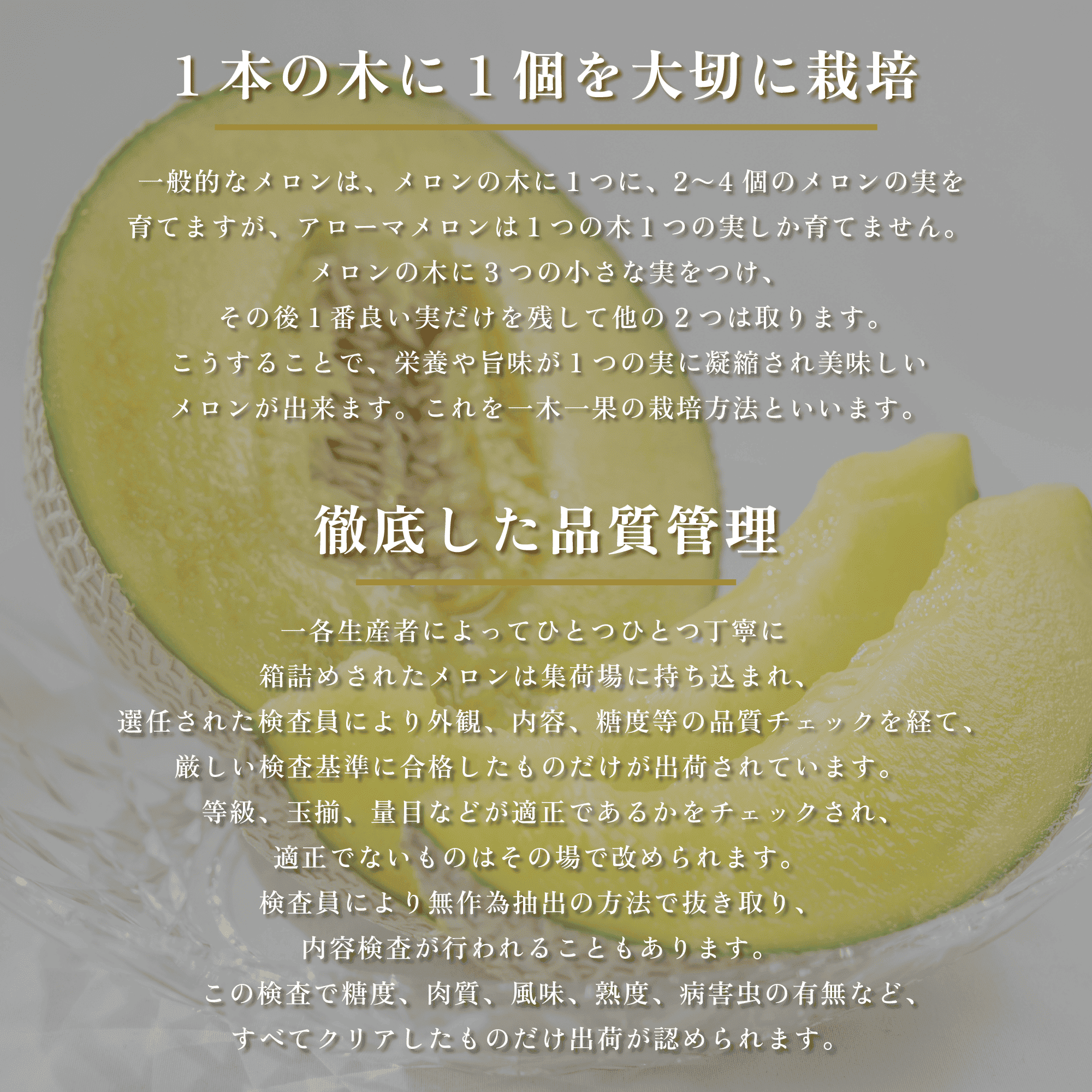 アローマ メロン 1玉 1.3kg以上 白級 1玉