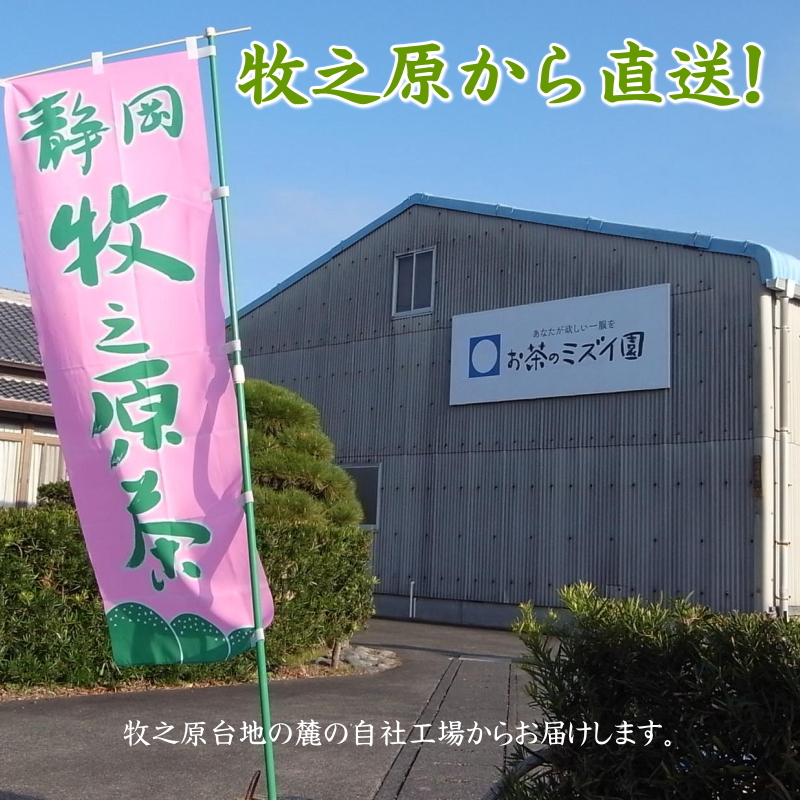 牧之原茶農家の自家用深むし茶200ｇ×5本 摘みたて お茶 茶 茶葉 ちゃば 急須 HOT 暑い 特産品 産地直送 日常 日用品 便利 お手軽 簡単 おすすめ 送料無料 人気 お湯 ふかむし 蒸す 高級 上品 ギフト 熱中症予防 アクティビティ アウトドア レジャー 運動 スポーツ 体育 家族 家庭 普段 日常使い おいしい 本格茶 お手軽 簡単 美味しい お茶のミズイ園 静岡県 牧之原市
