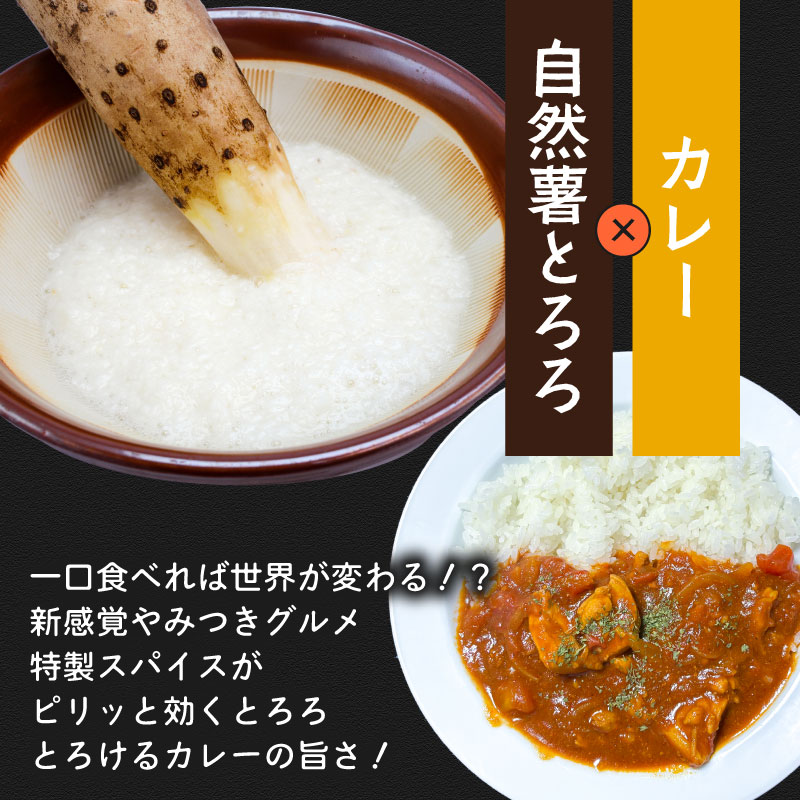 【ZIPの「水卜あさみと一緒に朝ごはん」で紹介されました!】 とろろ 食べ比べ セット 100g × 6種 計600g 食べ比べ 山芋 自然薯 個包装 小分け ギフト グルメ 贈答 人気 国産 詰め合わせ 静岡 送料無料 美容 米 ごはん お米 静岡県 牧之原市 尾白弁当