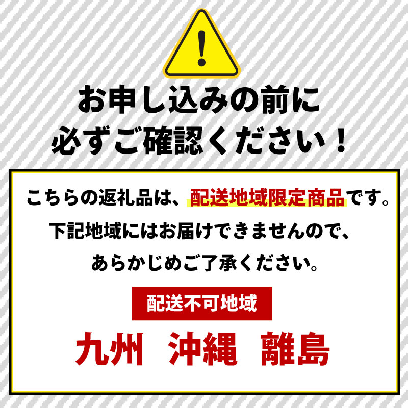 いちご 予約受付 【2026年1月から出荷】 新鮮 国産 鈴木農園の朝摘み 朝どれ きらぴ香 1.6kg 800 g × 2 パック 1.6kg