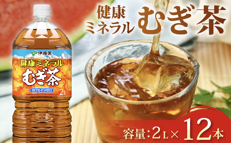 ＜選べる内容量＞ 健康ミネラル むぎ茶 計12本 2L × 6 本 2ケース お届け お茶 ペットボトル 飲料 ペットボトル飲料 おちゃ 麦茶飲料 お茶飲料 飲み物 茶 アウトドア 日常 常備 備蓄 防災 防災備蓄 防災用品 災害 生活必需品 消耗品 非常用 災害対策 保存 保管 ストック 日用品 水分補給 箱 箱買い まとめ買い おすすめ 静岡茶 飲料水 美味しい お?いお茶 伊藤園 牧之原市 静岡県 12本