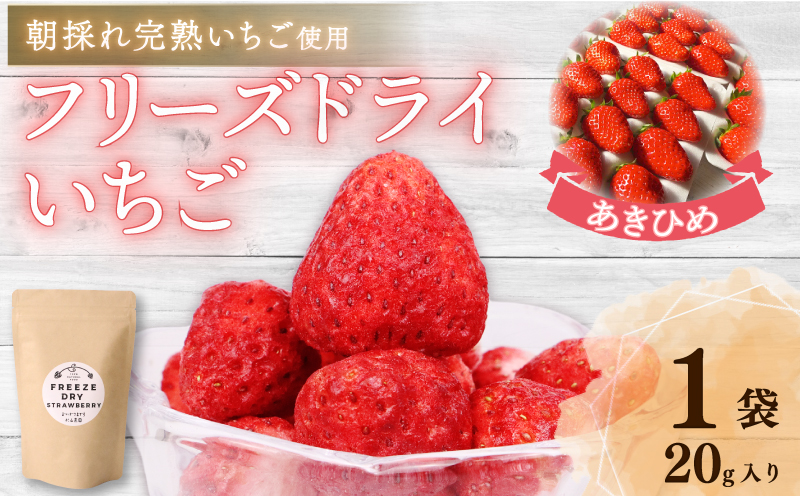 おかげさまです杉山農園のフリーズドライイチゴ 20g 朝摘み ドライ いちご ドライフルーツ 果物 いちご イチゴ 苺 フルーツ くだもの スイーツ デザート ストロベリー おやつ 完熟 直送 ギフト 家庭用 贈答用 贈答 ギフト 贈り物 甘い ブランド ジャム スムージー アレンジ フルーツ 健康 ビタミン 農家直送 朝採れ ベリー 産地直送 国産 おすすめ カロリー 乾燥 静岡県 牧之原市