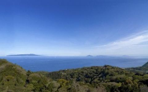 スモールプレミアリゾート　伊豆ホテルリゾート＆スパ　（1泊2食　宿泊券）　I010／利用券　静岡県　東伊豆町