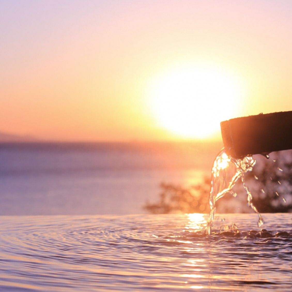 愛犬と泊まる源泉かけ流しの湯宿 湯宿福の湯 宿泊補助券 15,000円分 1293 ／ 福の湯 静岡県 東伊豆 伊豆 愛犬 ペット 泊まれる