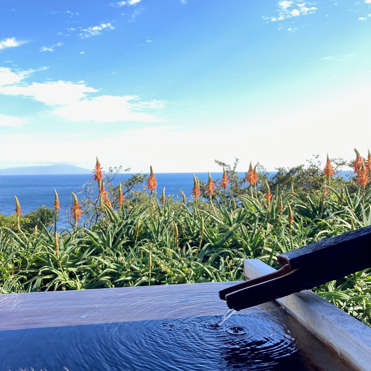 愛犬と泊まる源泉かけ流しの湯宿 湯宿福の湯 平日限定宿泊券1泊2食付き1室2名様ご利用 1291 ／ 福の湯 静岡県 東伊豆 伊豆 愛犬 ペット 泊まれる