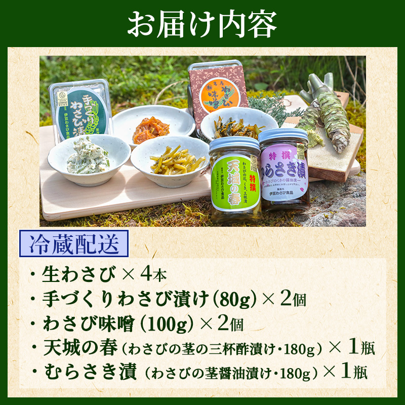 とれたて わさび セット 池 伊豆わさび食品直送 生わさび 4本 手作り わさび漬け 天城の春 三杯酢漬け わさびみそ むらさき漬 醤油漬け 伊豆 ワサビ 茎 加工品 加工食品 薬味 詰め合わせ 静岡 調味料