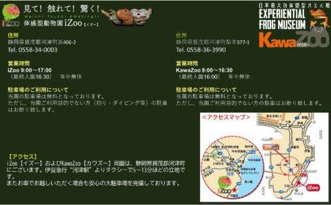 イズー カワズー 年間パスポート（大人1名） 共通入園券 爬虫類 動物園 河津町 観光