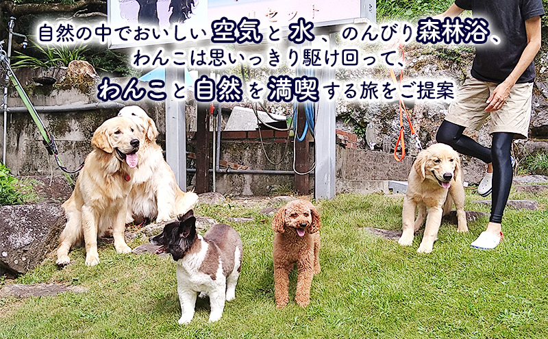 浬世人（リセット）【12,000円分】宿泊補助券 ペットと泊まれる 犬 犬好き ペット わんこ 河津 河津町 静岡 伊豆 宿泊券 自然 旅行 観光