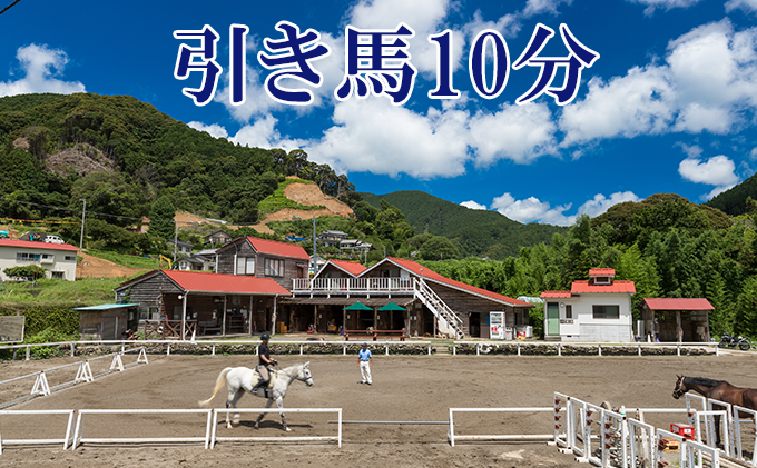 天城ホースビレッジ 施設利用券 引き馬10分（にんじん付き）