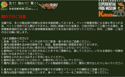 イズー カワズー 年間パスポート（大人1名・子供1名） 共通入園券 爬虫類 動物園 河津町 観光