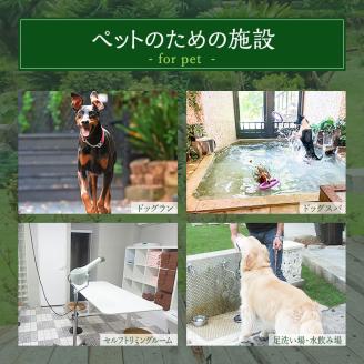 旅行 静岡県 宿泊補助券 ペットと泊まれる  ホテル 四季の蔵 6000円分 伊豆 温泉 宿泊 旅館 宿 観光 国内旅行 家族 ファミリー カップル 犬と泊まれる 犬と泊まれる宿 犬 愛犬 ペット 記念日 チケット 宿泊券 旅行券 券 ギフト券 静岡 河津 河津町