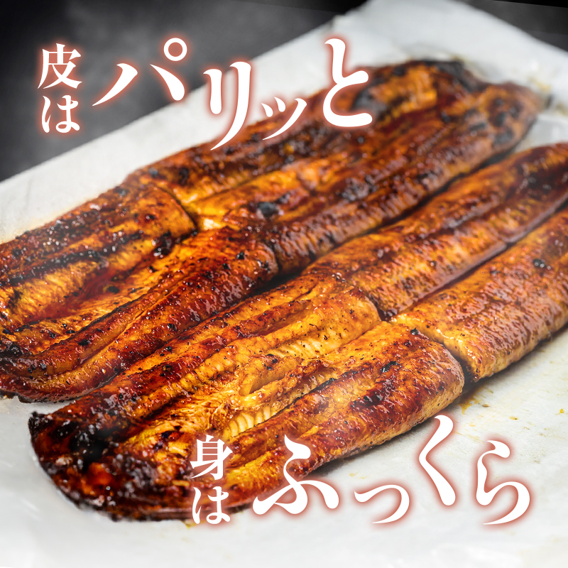 お食事券 静岡県 河津大川屋うなぎ 2500円分 うなぎ ウナギ 
