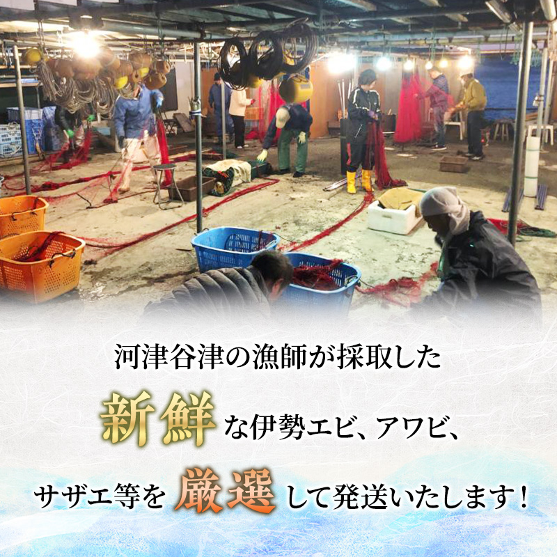 【アワビについて注意事項あり】伊勢海老 アワビ サザエ 定期便 年6回 海からのお届け物 ワカメ ひじき はんばのり 干物 伊勢エビ さざえ あわび わかめ 海苔 のり 天草 煮魚 惣菜 えび 鮑 貝 魚 魚介 魚介類 海鮮 海鮮セット