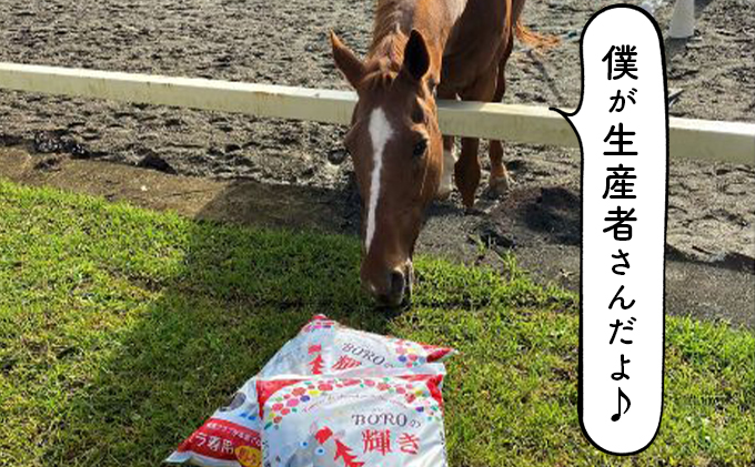 バラ専用高級馬ふん堆肥「BOROの輝き」15L 2個セット