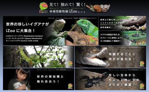 イズー カワズー 年間パスポート（大人1名） 共通入園券 爬虫類 動物園 河津町 観光