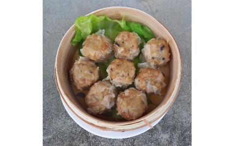 あおき特製　冷凍春巻・野菜シューマイセット お肉の加工品