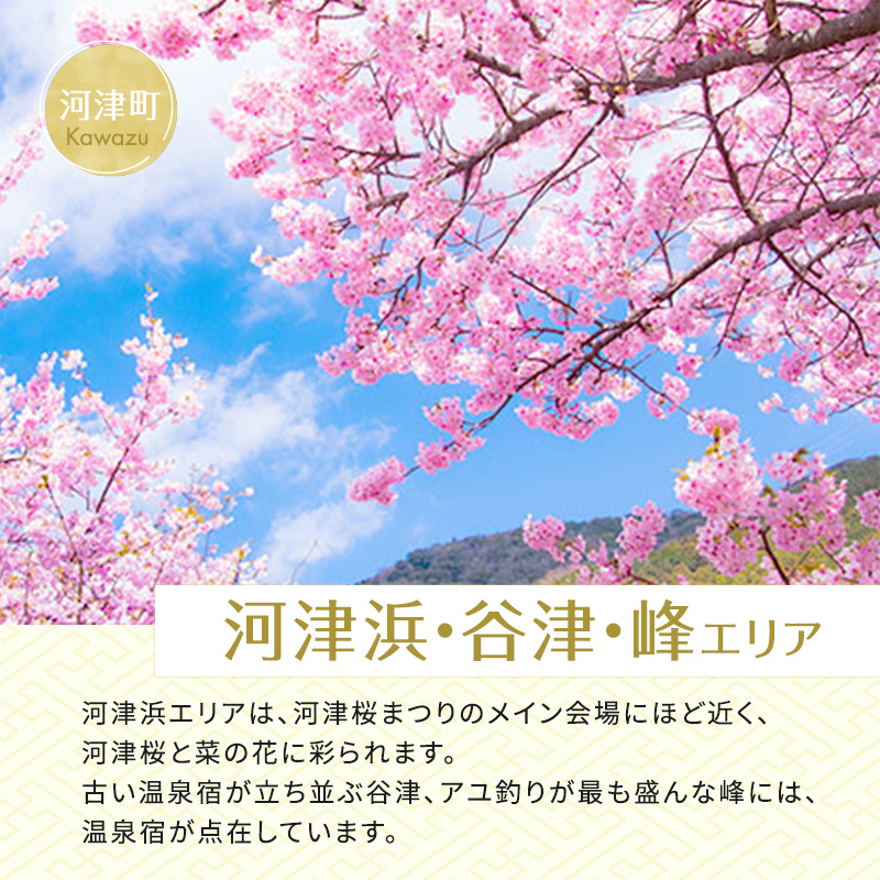 宿泊券 伊豆 たっぷり河津旅 宿泊補助券 8000円 チケット クーポン 旅行券 温泉 源泉かけ流し 旅行 観光 ホテル 旅館 宿泊 宿泊クーポン 宿泊チケット 補助券 静岡 静岡県 河津町