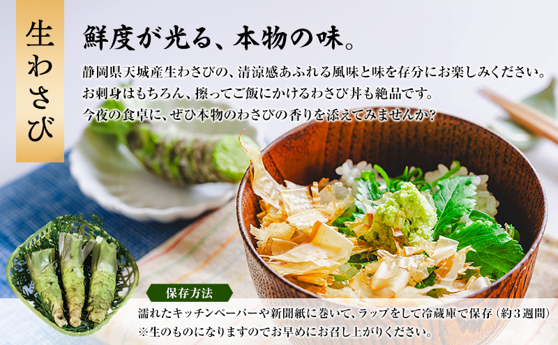 伊豆天城 丸山園 わさびセット 葵 セット 詰め合わせ わさび 山葵 ワサビ 生わさび おつまみ つまみ みそ 味噌 漬け物 漬物