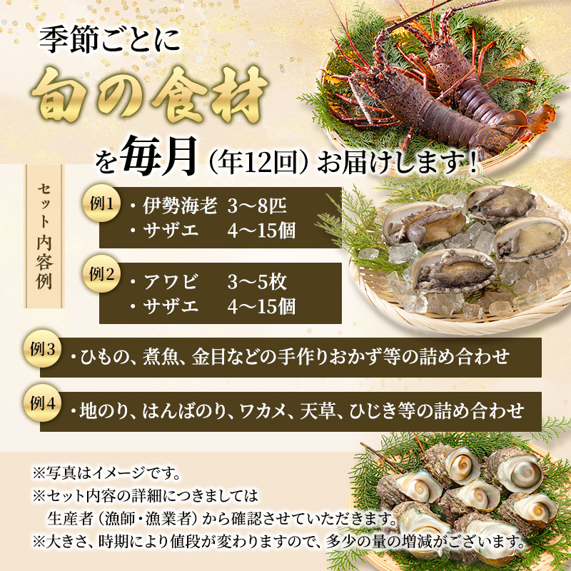【アワビについて注意事項あり】伊勢海老 アワビ サザエ 定期便 年12回 海からのお届け物 ワカメ ひじき はんばのり 干物 伊勢エビ さざえ あわび わかめ 海苔 天草 煮魚 惣菜 えび 鮑 貝 魚 魚介 魚介類 海鮮