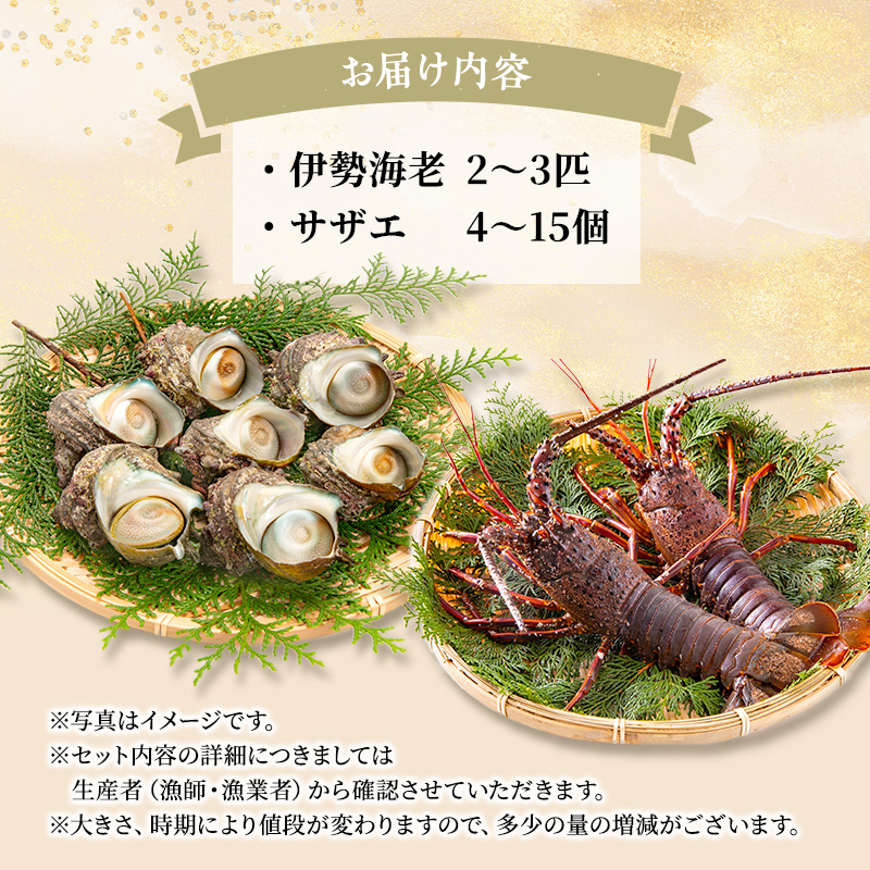 活 伊勢海老 サザエ セット A とれたて 活き伊勢海老 2～3匹 活サザエ 4～15匹 詰め合わせ 伊勢えび 海老 エビ えび 貝 魚介 魚介類 海鮮 海鮮セット 活きたまま 冷蔵 静岡 静岡県 河津町