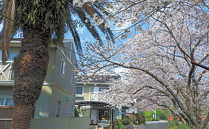 河津温泉・くつろぎの宿 かわづの里宿泊補助券 30,000円分