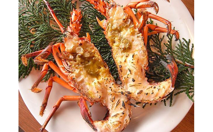 冷凍伊勢海老1kg 伊勢エビ 冷凍 漁師直送