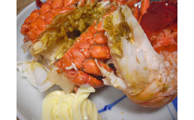 漁師直送　冷凍浜茹で伊勢海老1キロ　 伊勢エビ 冷凍