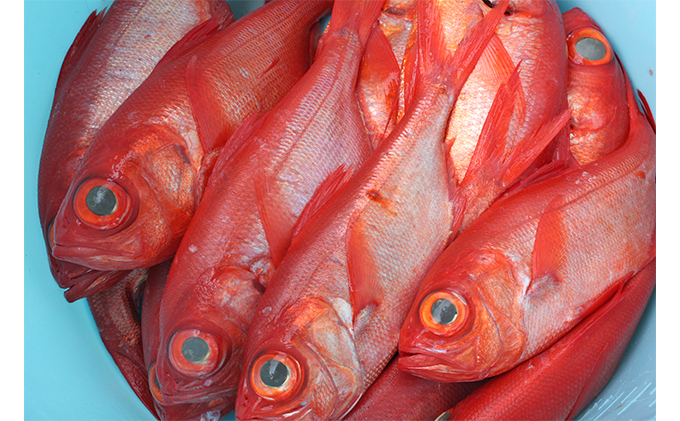 稲取キンメの味噌漬け4切れ（1匹使い）冷凍