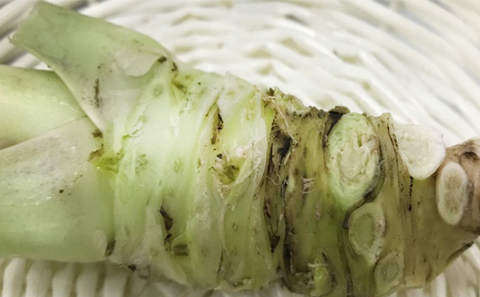 季節の地場産品3種セット