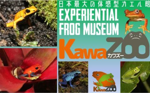 イズー カワズー 年間パスポート（大人2名） 共通入園券 ペア 爬虫類 動物園 河津町 観光