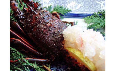 漁師直送 新鮮！朝獲れ活伊勢海老1kg【出荷：4月下旬～5月中旬】 伊勢エビ エビ えび 冷蔵