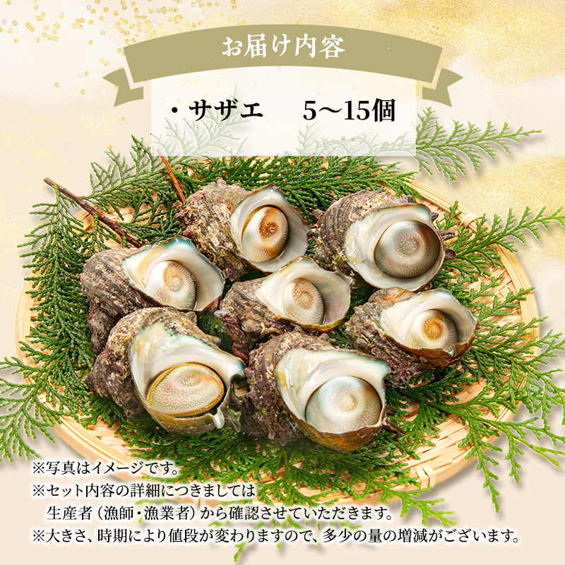 活サザエ 5～15個 活きたままお届け 活 サザエ さざえ 貝 魚介 魚介類 海鮮 刺身 つぼ焼き 厳選 冷蔵 冷蔵配送 静岡 静岡県 河津 河津町