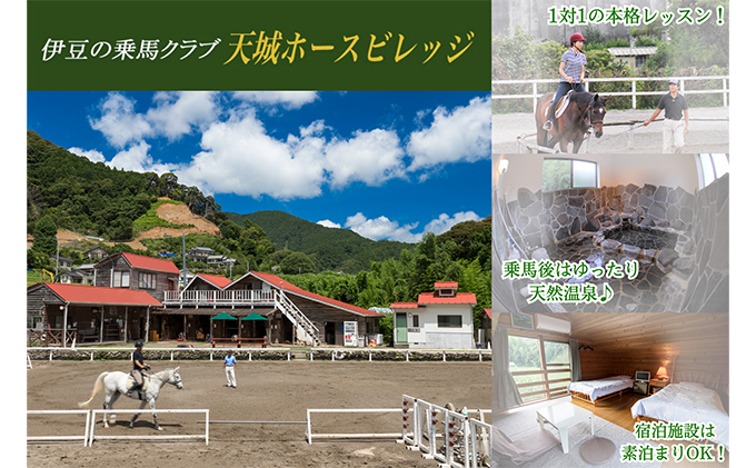 堆肥 15L 3個 セット BOROの輝き バラ 専用 高級 馬糞 天然素材 有機 完熟 臭わない 無臭 ガーデニング 薔薇 家庭菜園 肥料 栄養 コンポスト 土 土壌 ガーデン 園芸 静岡 静岡県 河津 河津町