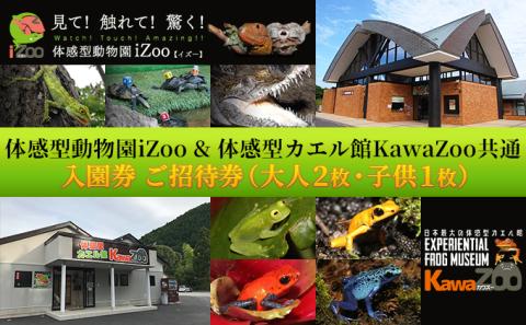 動物園 静岡 イズー カワズー 大人 2枚 子供 1枚 入場券 セット 動物 カエル 爬虫類 観光 子供 家族 お出かけ チケット 券 ギフト券 体験チケット ギフト プレゼント 贈答 贈答品 贈り物 旅行 観光 入園券 静岡県 河津 河津町