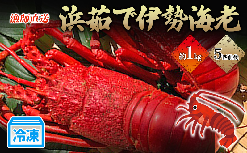 漁師直送　冷凍浜茹で伊勢海老1キロ　 伊勢エビ 冷凍