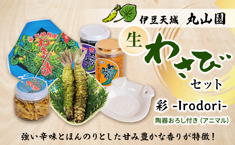 伊豆天城 丸山園 わさびセット 彩 セット 詰め合わせ わさび 山葵 ワサビ 生わさび おつまみ つまみ みそ 味噌 漬け物 漬物