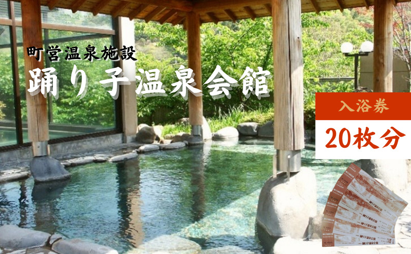 踊り子温泉会館 【入浴券 20枚分】 チケット 峰温泉 温泉 入浴 レジャー 大浴場 回数券 露天風呂 泡風呂 サウナ 癒し 河津町 河津