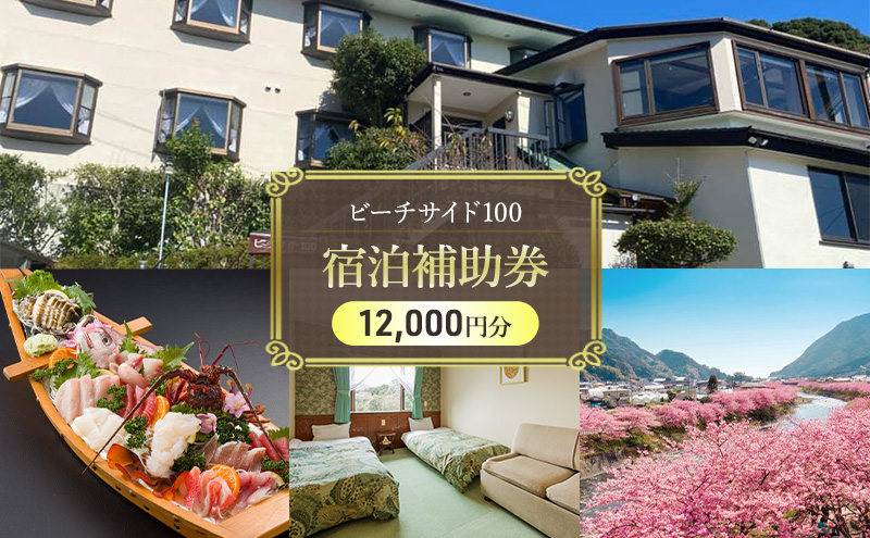 ビーチサイド100 【12,000円分】 宿泊補助券 貸し切り 貸切 オーシャンビュー 温泉 今井浜温泉 河津 河津町 静岡 伊豆 宿泊券 旅行 観光 国内旅行 家族旅行 ファミリー カップル