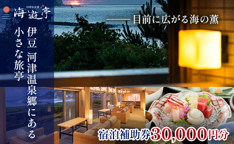 旅行 静岡県 宿泊補助券 海遊亭 30000円分 伊豆 温泉 河津温泉 オーシャンビュー 宿泊 旅館 ホテル 宿 観光 国内旅行 家族 ファミリー カップル 一人旅 記念日 チケット 宿泊券 旅行券 券 ギフト券 施設利用券 静岡 河津 河津町