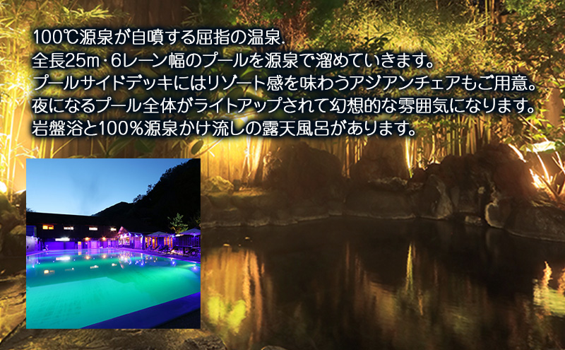 源泉 ナイトプール 付き温泉宿 アミ・ドローラ 宿泊 補助券 15000円 旅行 観光 ホテル 宿泊クーポン 宿泊チケット 静岡 静岡県