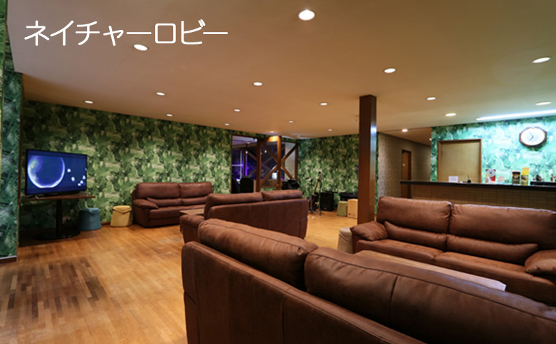 源泉 ナイトプール 付き温泉宿 アミ・ドローラ 宿泊 補助券 15000円 旅行 観光 ホテル 宿泊クーポン 宿泊チケット 静岡 静岡県